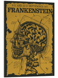 Cuadro de metacrilato Frankenstein 1977 - Jim Thorpe - Vintage Advertising Collection