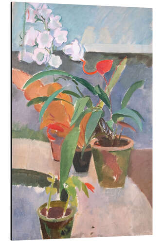Stampa su alluminio Potted Plants