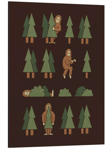 Cuadro de aluminio Bigfoot Forest
