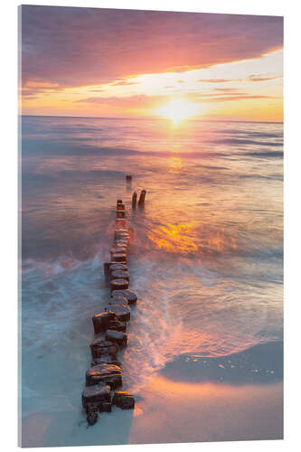 Acrylglas print Old groynes at sunset