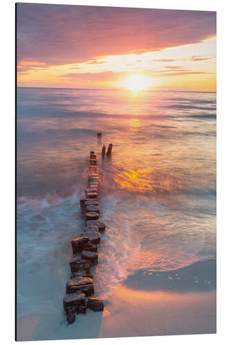 Aluminium print Old groynes at sunset