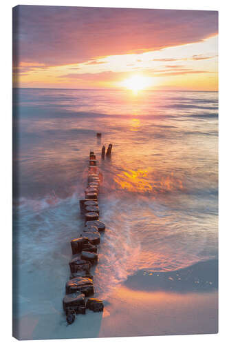 Canvas print Old groynes at sunset