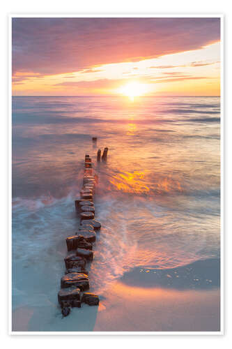 Poster Old groynes at sunset