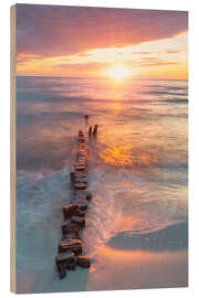 Wood print Old groynes at sunset - Moqui, Daniela Beyer