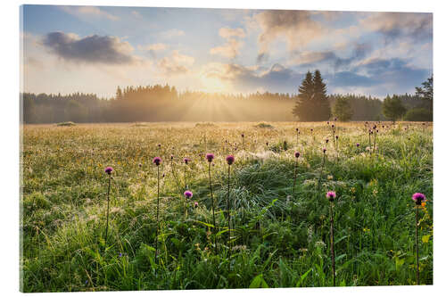 Akrylbillede Summer morning in the Erzgebirge
