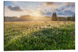 Aluminium print Summer morning in the Erzgebirge
