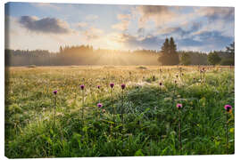 Canvas print Summer morning in the Erzgebirge - Moqui, Daniela Beyer