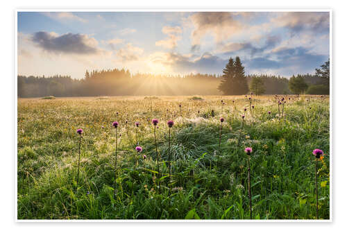 Poster Sommermorgen im Erzgebirge