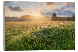 Quadro de madeira Summer morning in the Erzgebirge