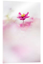 Acrylic print This makes me happy - Bob Daalder