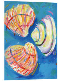 Acrylic print Shells - Dawn Underwood