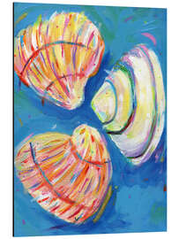 Obraz na aluminium Shells - Dawn Underwood