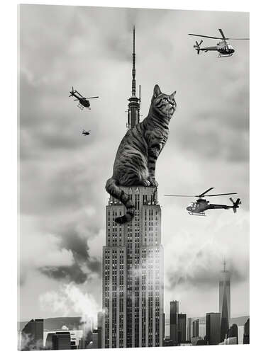 Acrylic print Cat on top