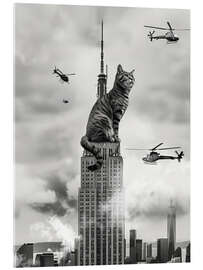 Acrylic print Cat on top