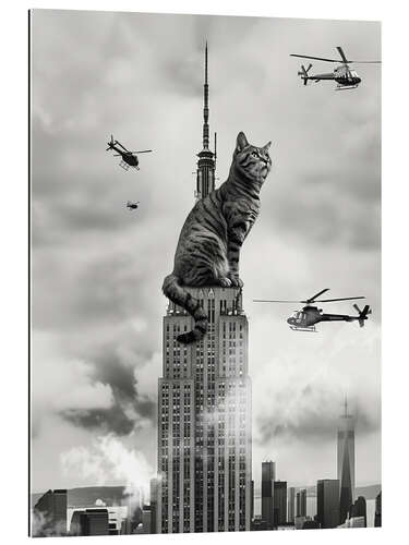 Galleriprint Cat on top
