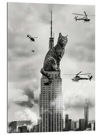 Galleriprint Cat on top