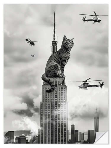 Wandsticker Cat on top