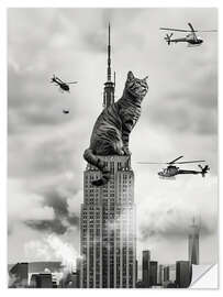 Wandsticker Cat on top