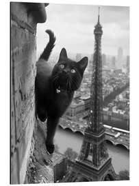 Tableau en aluminium Kitty in Paris - Dikhotomy