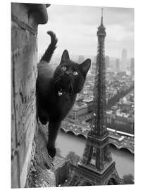 Stampa su PVC Kitty in Paris