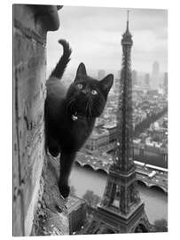 Gallery print Kitty in Paris