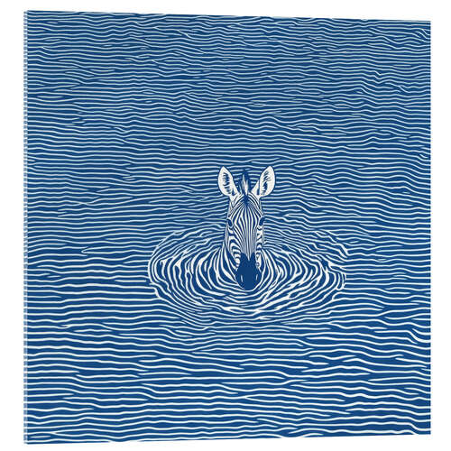 Acrylic print Swimming zebra