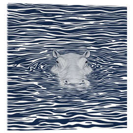 Acrylic print Swimming Hippo