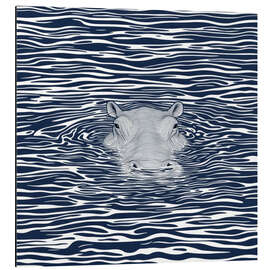 Aluminium print Swimming Hippo