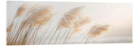 Acrylic print Delicate Pampas Grass - A Poetry by the Sea - Melanie Viola