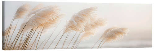 Canvas print Delicate Pampas Grass - A Poetry by the Sea