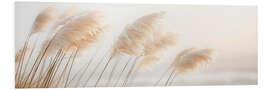Cuadro de PVC Delicate Pampas Grass - A Poetry by the Sea
