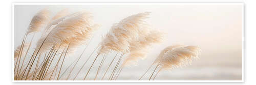 Poster Delicate Pampas Grass - A Poetry by the Sea