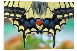 Alubild Künstler Natur - GUGIGEI