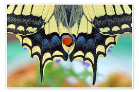 Juliste Artist Nature - GUGIGEI