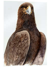 Acrylglasbild Herr der Lüfte - Tetiana Savchenko