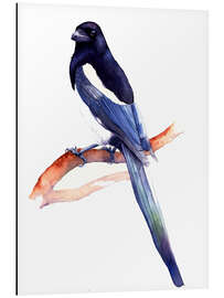 Aluminium print Shimmering Magpie - Tetiana Savchenko