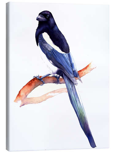 Canvas print Shimmering Magpie