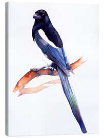 Canvas print Shimmering Magpie - Tetiana Savchenko
