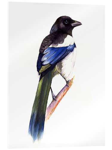 Cuadro de metacrilato Radiant Magpie
