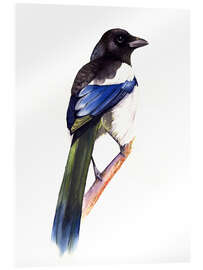 Acrylic print Radiant Magpie - Tetiana Savchenko