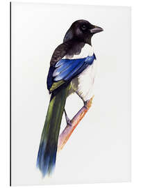 Tableau en aluminium Radiant Magpie - Tetiana Savchenko