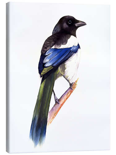 Quadro em tela Radiant Magpie