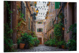 Akrylbillede Mallorca - Valldemossa plant street