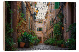 Quadro de madeira Mallorca - Valldemossa plant street
