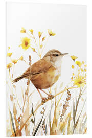 Stampa su PVC Watercolour Wren