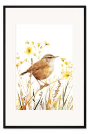 Gerahmter Kunstdruck Aquarell Zaunkönig