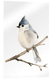 Acrylic print Watercolour Grey-crested Tit