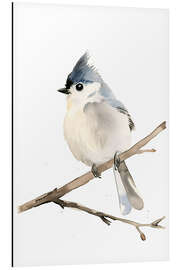 Stampa su alluminio Watercolour Grey-crested Tit