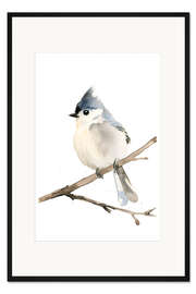 Gerahmter Kunstdruck Aquarell Grauhäubchenmeise