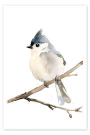 Poster Watercolour Grey-crested Tit